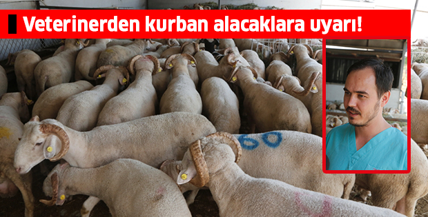Veterinerden kurban alacaklara uyarı!
