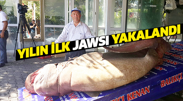 Balıkçı Kenan farkını yine gösterdi