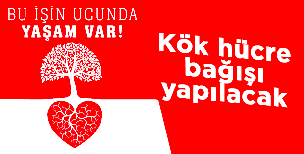 Kök hücre bağışı yapılacak
