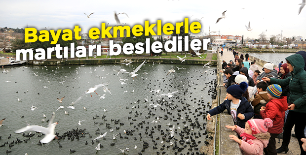 Bayat ekmeklerle martıları beslediler