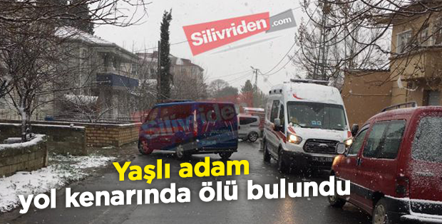 Yaşlı adam yol kenarında ölü bulundu