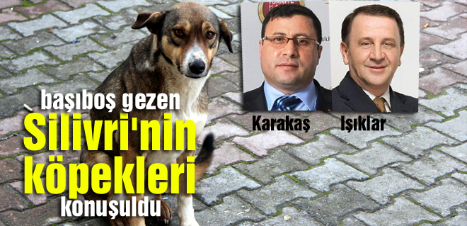 Başkanların köpek muhabbeti