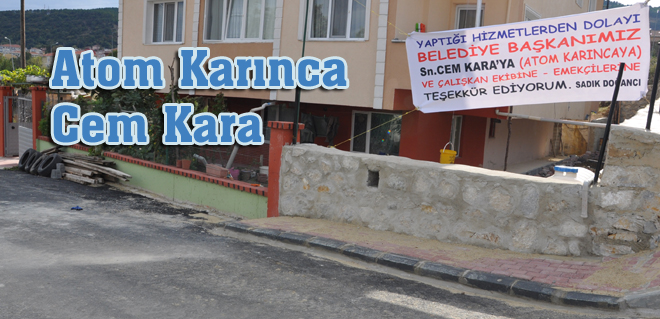 Atom Karınca Cem Kara