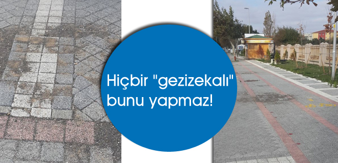 Hiçbir gezizekalı bunu yapmaz!