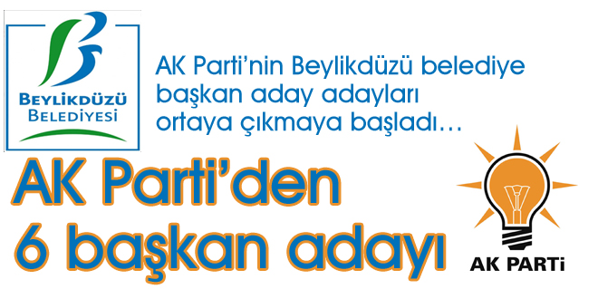 AK Partiden 6 başkan adayı