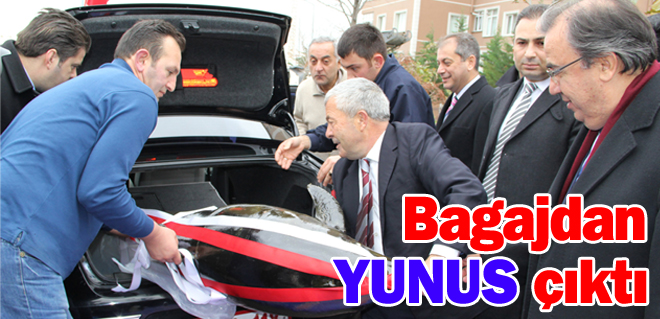 Bagajdan yunus çıktı