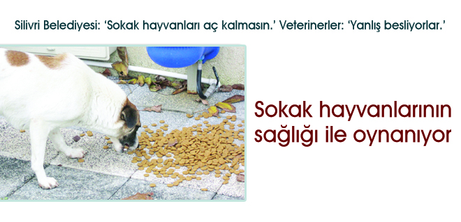 Sokak hayvanlarının sağlığı ile oynanıyor