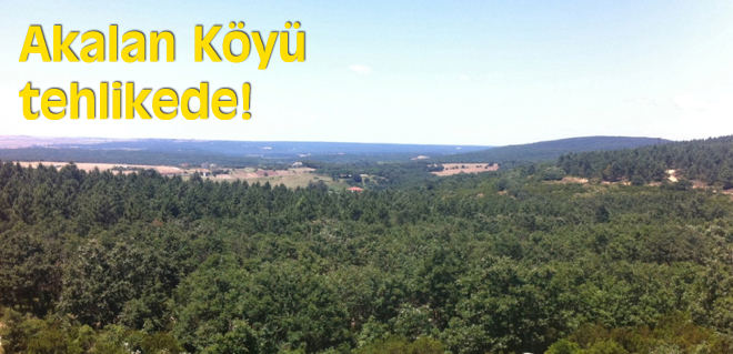 Akalan tehlikede!