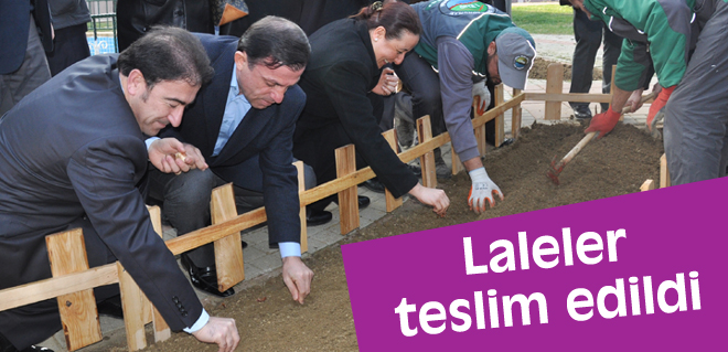 Laleler teslim edildi