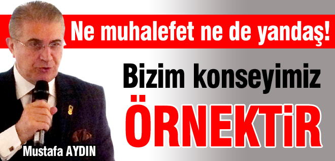 Bizim konseyimiz örnektir