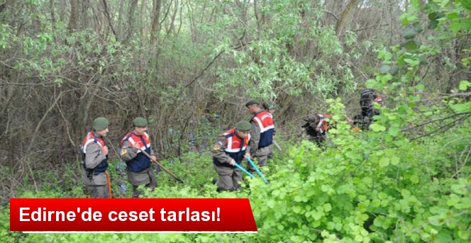 4 ceset bulundu!
