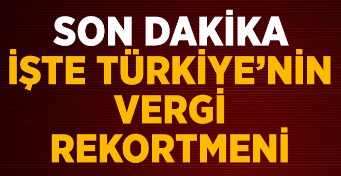 Türkiye'nin 2013 Vergi Rekortmeni