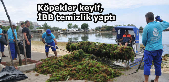 Köpekler keyif, İBB temizlik yaptı