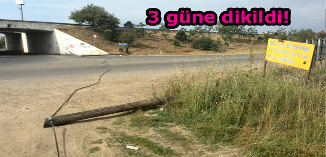 3 güne dikildi!