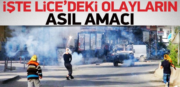 Lice'deki Eylemlerin Amacı Öcalan'ı Tasfiye Etmek