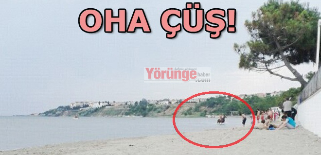 Silivri plajında at koşturdular