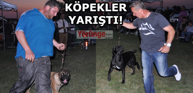 KÖPEKLER YARIŞTI!