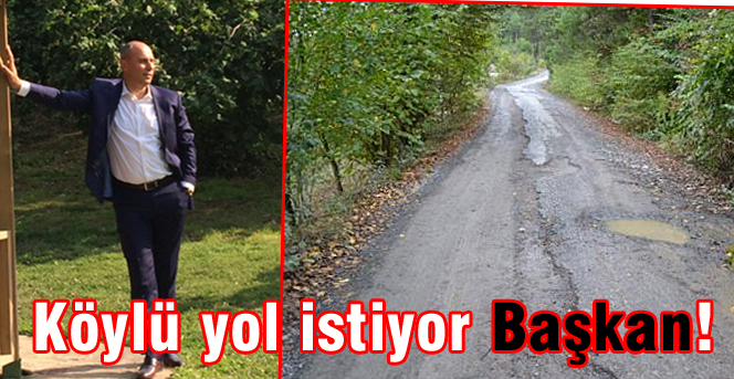Köylü yol istiyor Başkan!