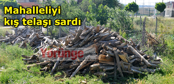 Mahalleliyi kış telaşı sardı