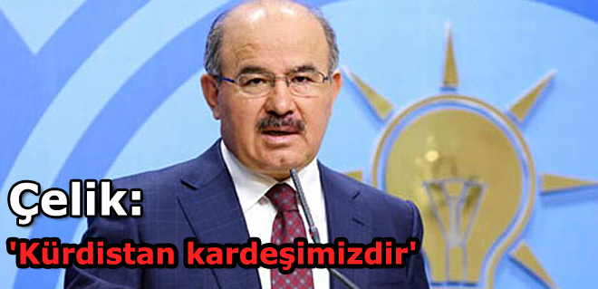 Çelik: 'Kürdistan kardeşimizdir'