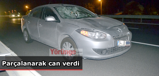 Parçalanarak can verdi