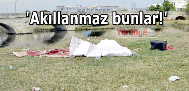 'Akıllanmaz bunlar!'