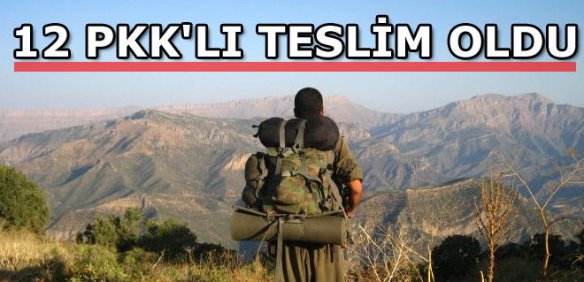 12 PKK'lı Teslim Oldu