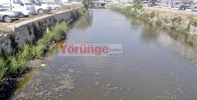 Her geçen gün daha da pisleniyor