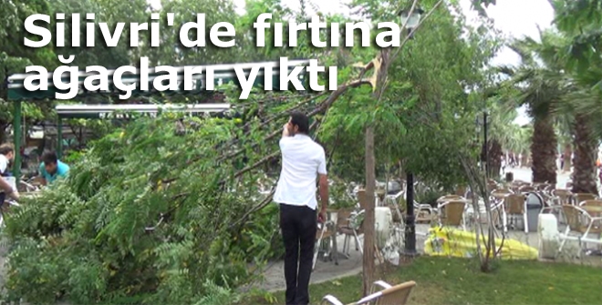 Silivride fırtına ağaç yıktı