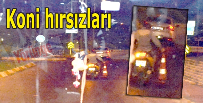 Koni hırsızları