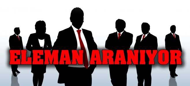 THY Yurt Dışı Bürolar İçin Eleman Arıyor