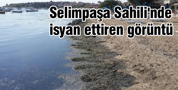 Selimpaşa Sahili'nde isyan ettiren görüntü