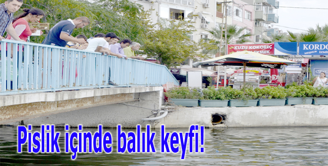 Pislik içinde balık keyfi!