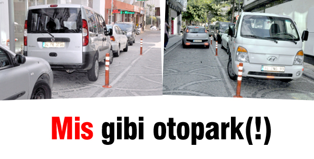 Mis gibi otopark(!)