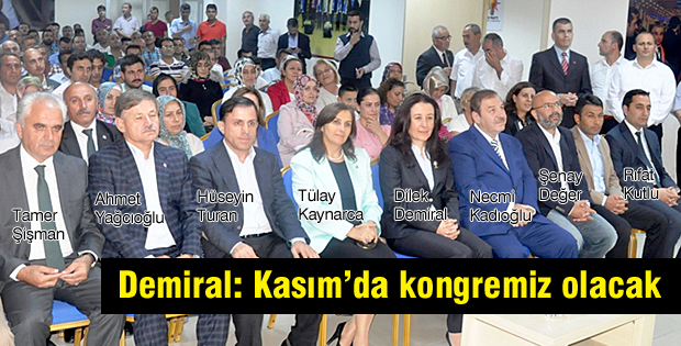 Demiral: Kasımda kongremiz olacak