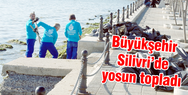 İBB yosun topladı