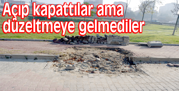 Düzeltmeye gelmediler