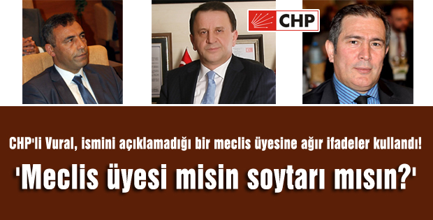 'Meclis üyesi misin soytarı mısın?'