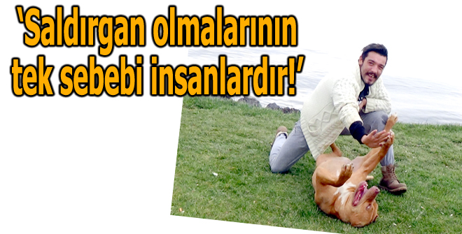 Saldırgan olmalarının tek sebebi insanlardır!