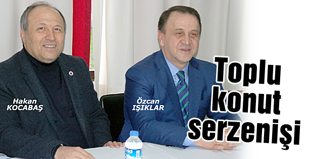 Toplu konut serzenişi