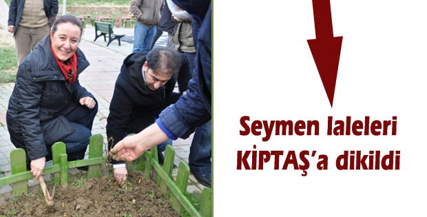 Seymen laleleri KİPTAŞa dikildi