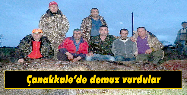 Çanakkalede domuz vurdular