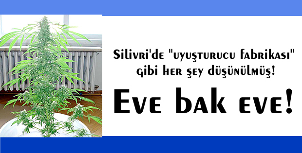Eve bak eve!
