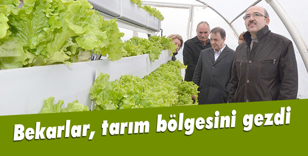 Bekarlar, tarım bölgesini gezdi