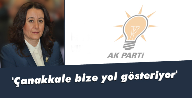 'Çanakkale bize yol gösteriyor'