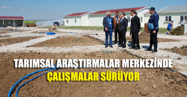 Tarımsal Araştırmalar Merkezinde çalışmalar sürüyor