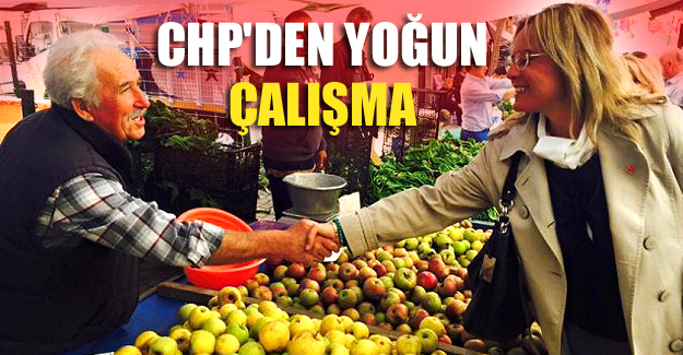 CHP'den yoğun çalışma