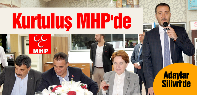 Haydi MHP'yi iktidara getirelim