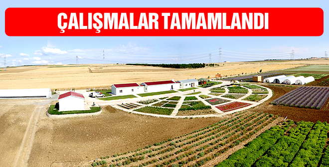 Tarımsal Üretim ve Araştırma Merkezinde çalışmalar tamamlandı