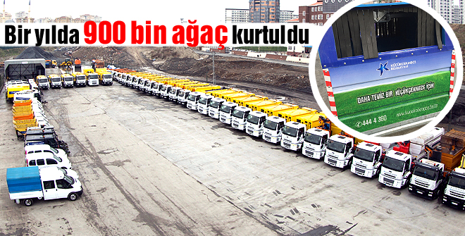 Bir yılda 900 bin ağaç kurtuldu
